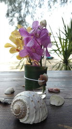 Close-up of flower vase on table