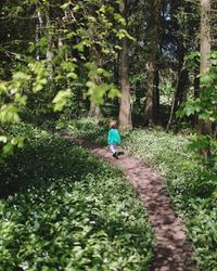 Rear view of girl walking on footpath in forest