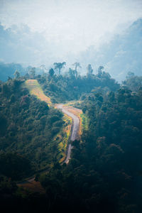 High angle view of trees and mountains against sky