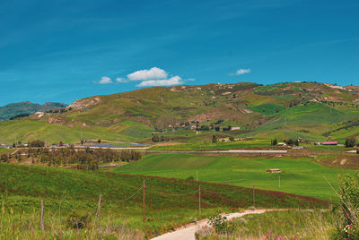 Scenic view of agricultural field against sky