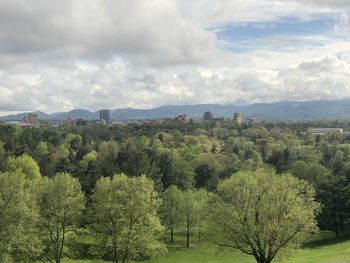 Trees growing on land against sky