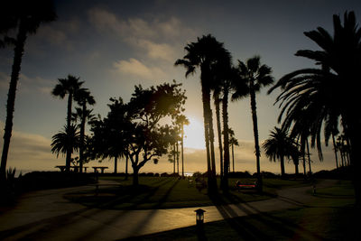 Palm trees against sky during sunset