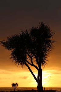 Silhouette tree against sea during sunset