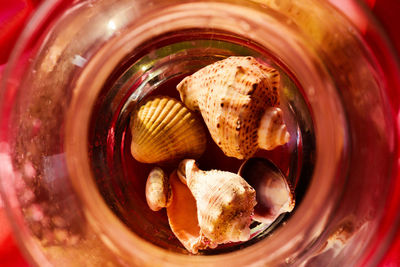 High angle view of ice cream in glass on table