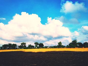 Scenic view of field against sky