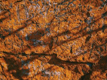 Full frame shot of orange rock