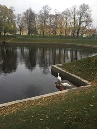 Scenic view of lake in park