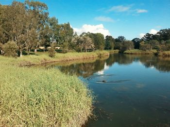 Scenic view of lake against sky