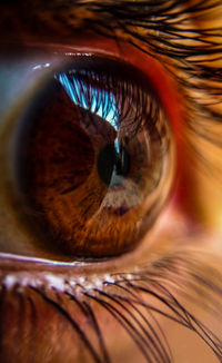 Extreme close-up of human eye