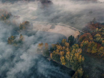 High angle view of trees in forest against sky