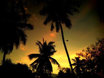 Low angle view of silhouette palm trees against romantic sky