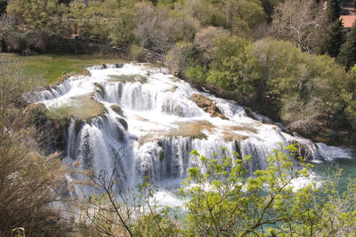 Scenic view of waterfall in forest