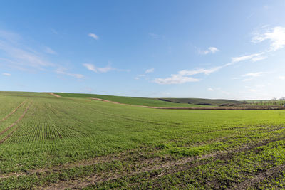 Scenic view of agricultural field against sky