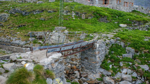 High angle view of plants and rocks against building