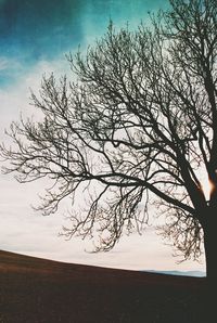 Silhouette bare tree by lake against sky