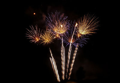 Low angle view of firework display at night