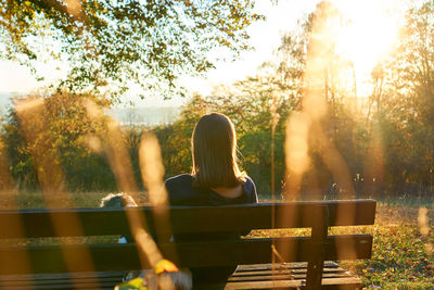 Rear view of woman sitting on bench in park during sunset