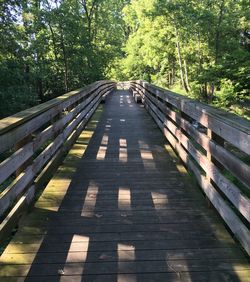 Footbridge in forest