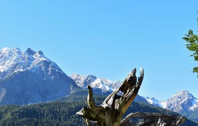 Scenic view of snowcapped mountains against clear blue sky