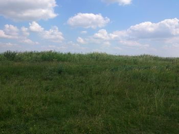 Scenic view of grassy field against sky