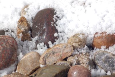 Close-up of snow on rock against white background