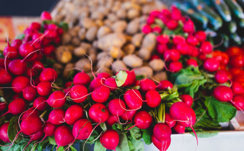 Close-up of vegetables