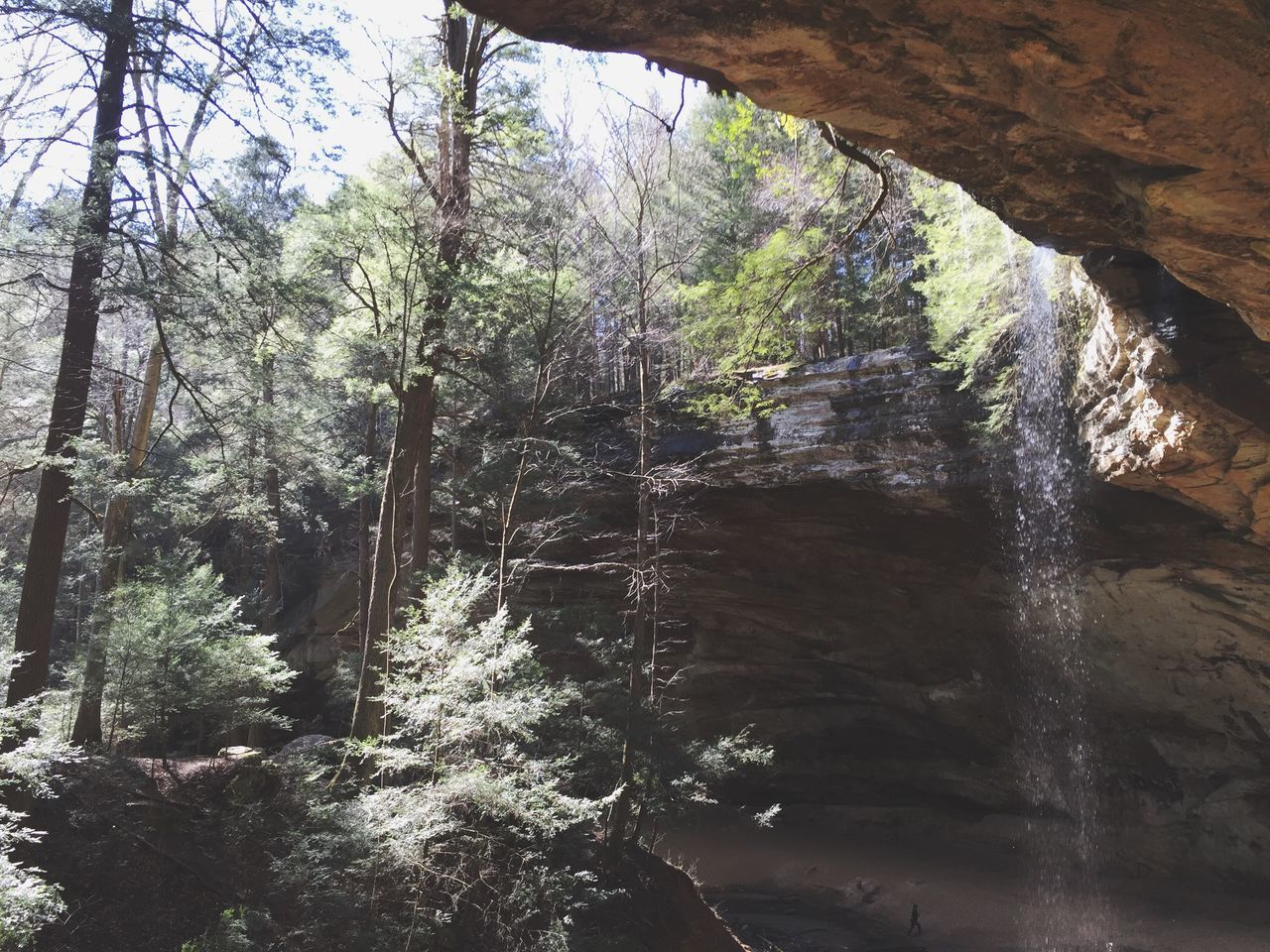 water, tree, nature, tranquility, beauty in nature, scenics, tranquil scene, growth, rock - object, forest, waterfront, sunlight, day, flowing water, idyllic, river, outdoors, no people, motion, non-urban scene