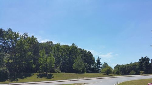 Road amidst trees against blue sky