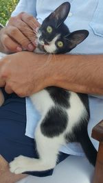 Close-up of woman holding cat sitting on hand