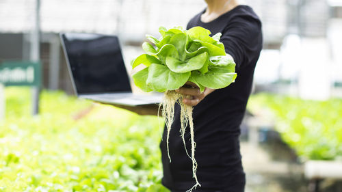 Midsection of woman holding plant