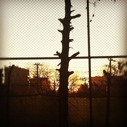 Chainlink fence at sunset