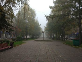 Footpath amidst trees in park against sky