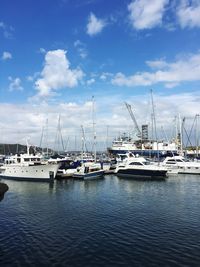 Sailboats moored on harbor against sky