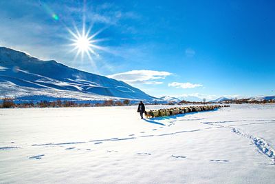 Farmer with flock of sheep walking on snowy field