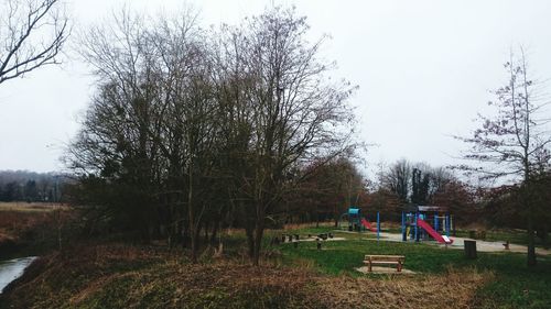 Bare trees in park