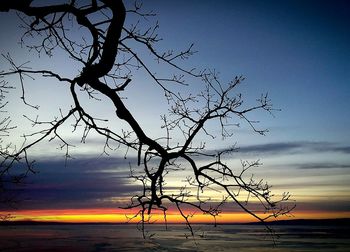 Reflection of trees in water at sunset