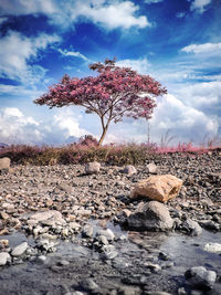 Scenic view of landscape against cloudy sky