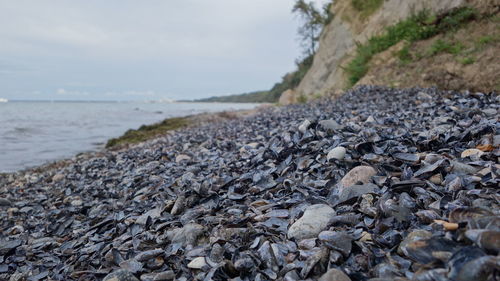 Rocks on beach against sky