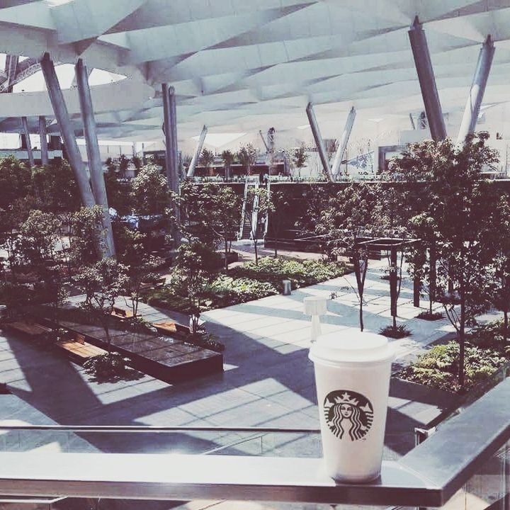 table, indoors, drink, glass - material, chair, built structure, sunlight, architecture, food and drink, potted plant, day, plant, freshness, tree, restaurant, refreshment, growth, sky, shadow, transparent