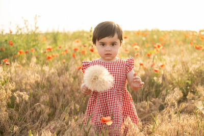 Portrait of cute girl holding dandelion at farm