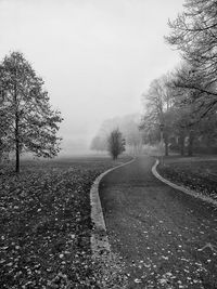 Road by trees against sky during winter