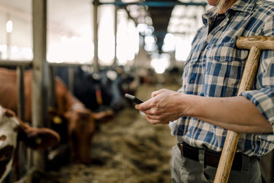 Female farmer using smart phone standing with hammer at cattle farm