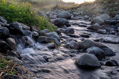 Stream flowing through rocks