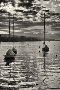 Sailboats moored on sea against sky