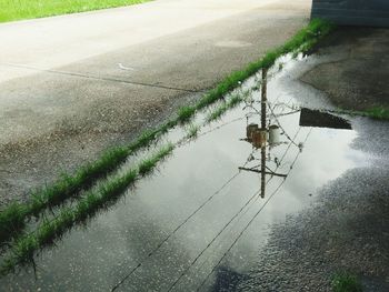 Reflection of trees in puddle