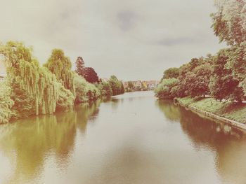 River amidst trees against sky