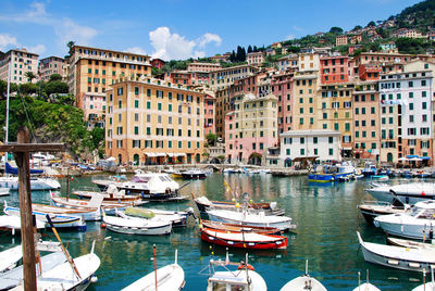 Boats at the harbor of camogli, genova, liguria, italy.