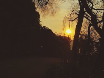 Silhouette trees by illuminated street against sky at sunset