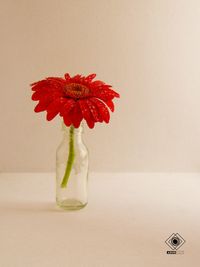 Close-up of red flower on table