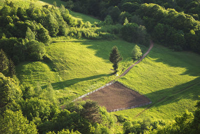 High angle view of trees on landscape